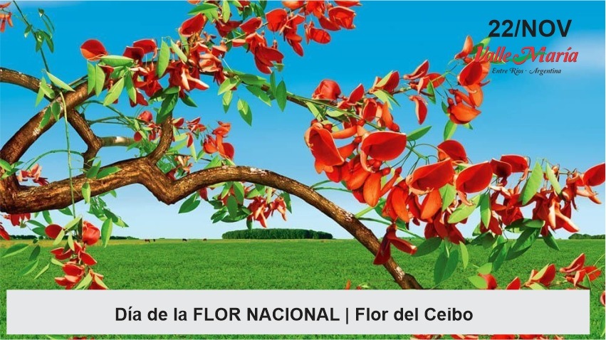 Día de la Flor Nacional | Municipalidad de Valle María